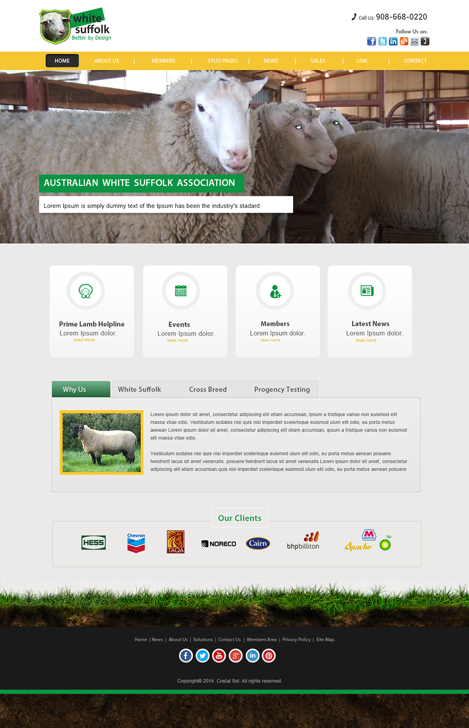 Web Design by webxvision for BizBoost | Design #3620130