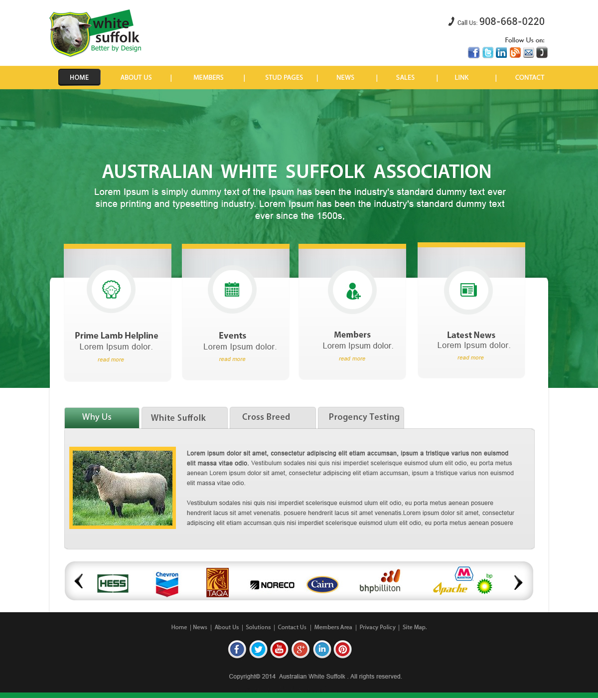 Web Design by webxvision for BizBoost | Design #3625324