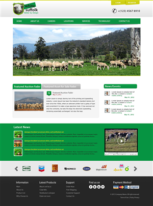 Diseño Web por webxvision para BizBoost | Diseño: #3629605