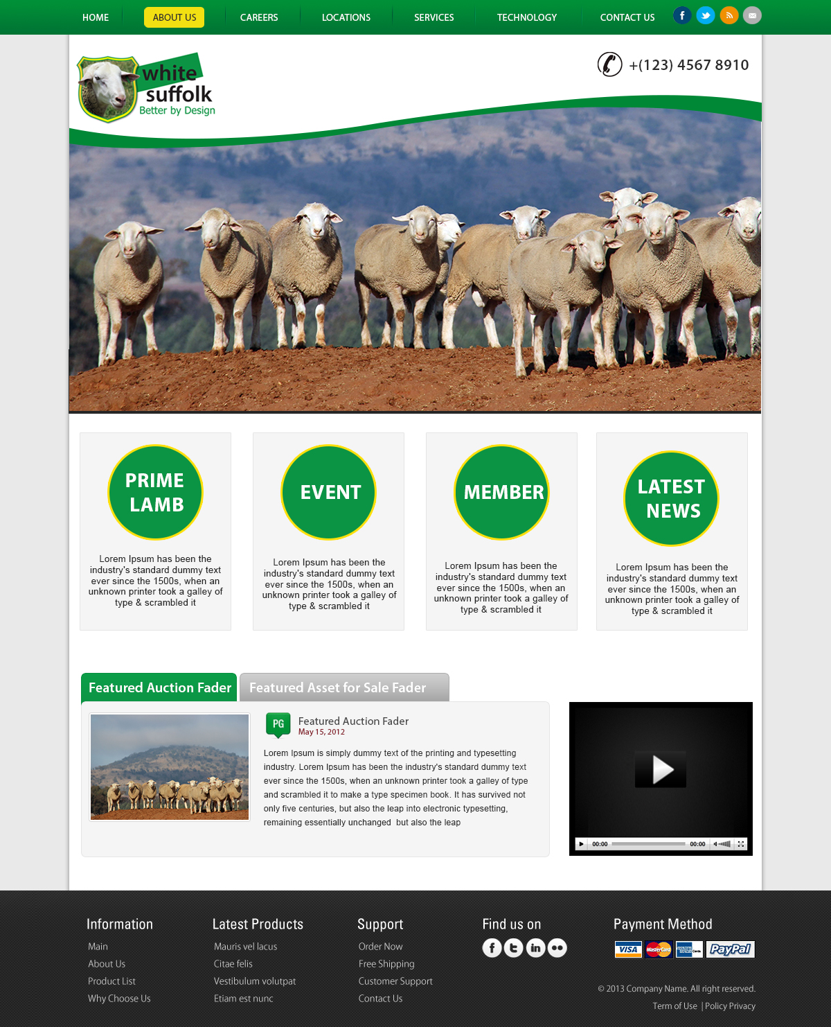 Web Design by webxvision for BizBoost | Design #3641646