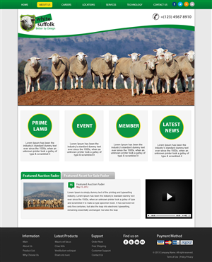 Diseño Web por webxvision para BizBoost | Diseño: #3641646