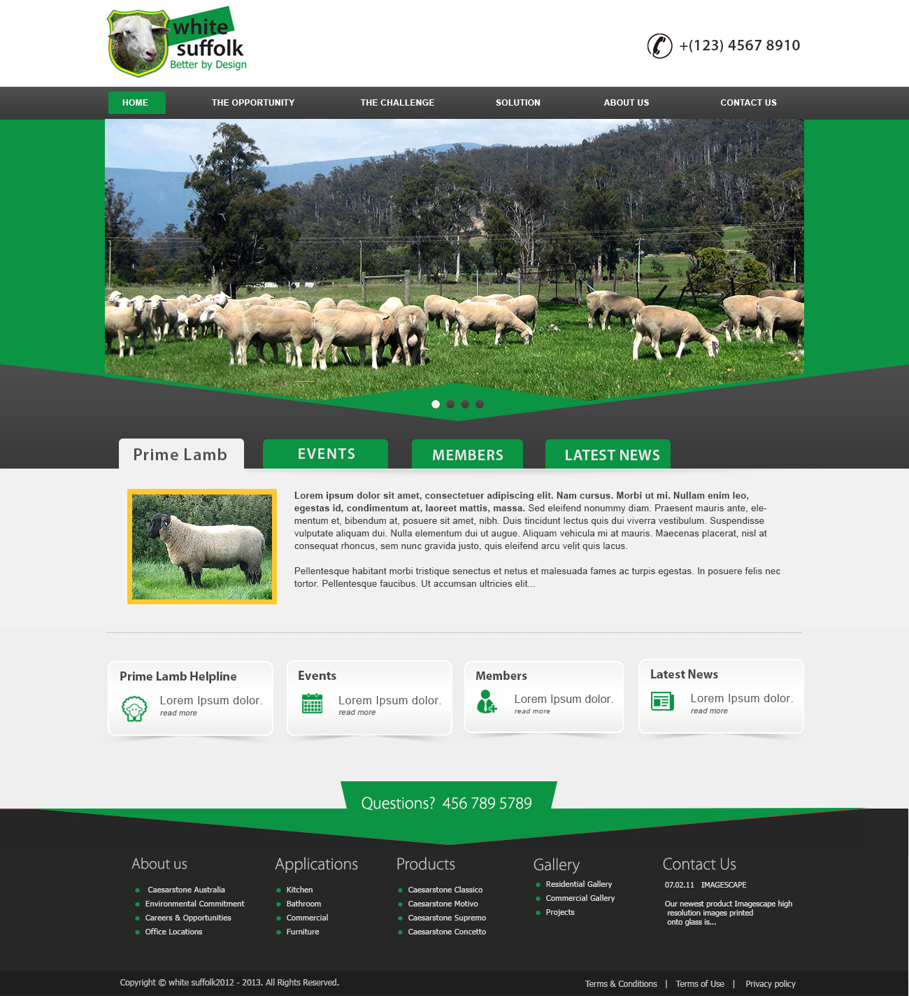 Diseño Web por webxvision para BizBoost | Diseño #3646709