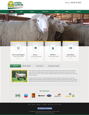 Diseño Web por webxvision para BizBoost | Diseño: #3666127