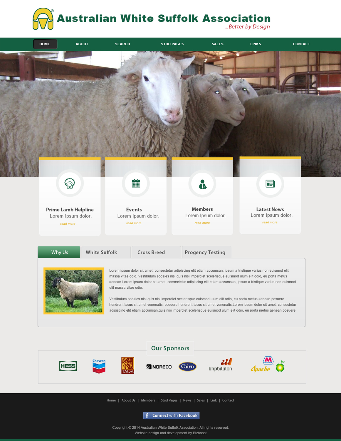 Diseño Web por webxvision para BizBoost | Diseño #3673797