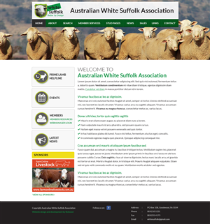 Diseño Web por SJ para BizBoost | Diseño: #3587909