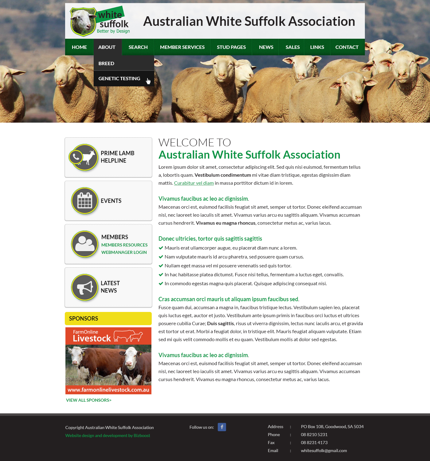 Diseño Web por SJ para BizBoost | Diseño #3587924