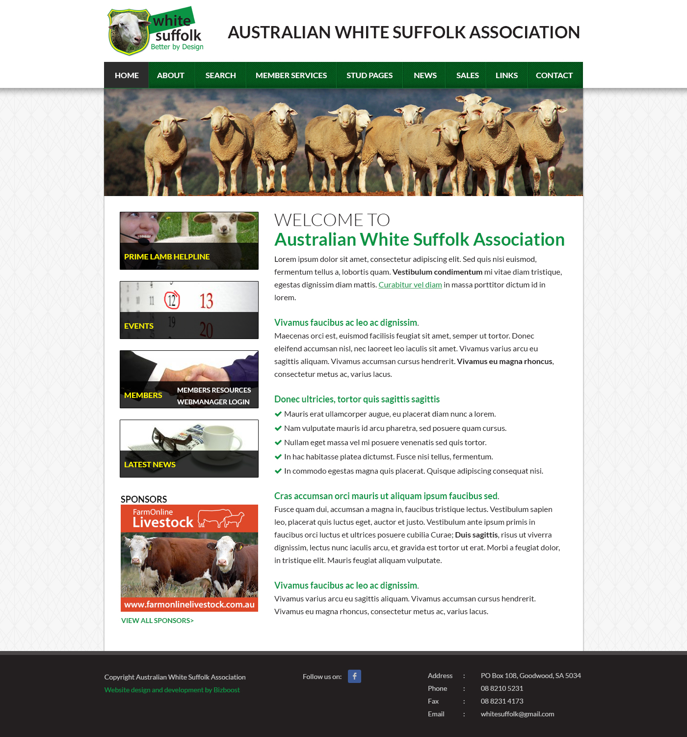 Diseño Web por SJ para BizBoost | Diseño #3588567