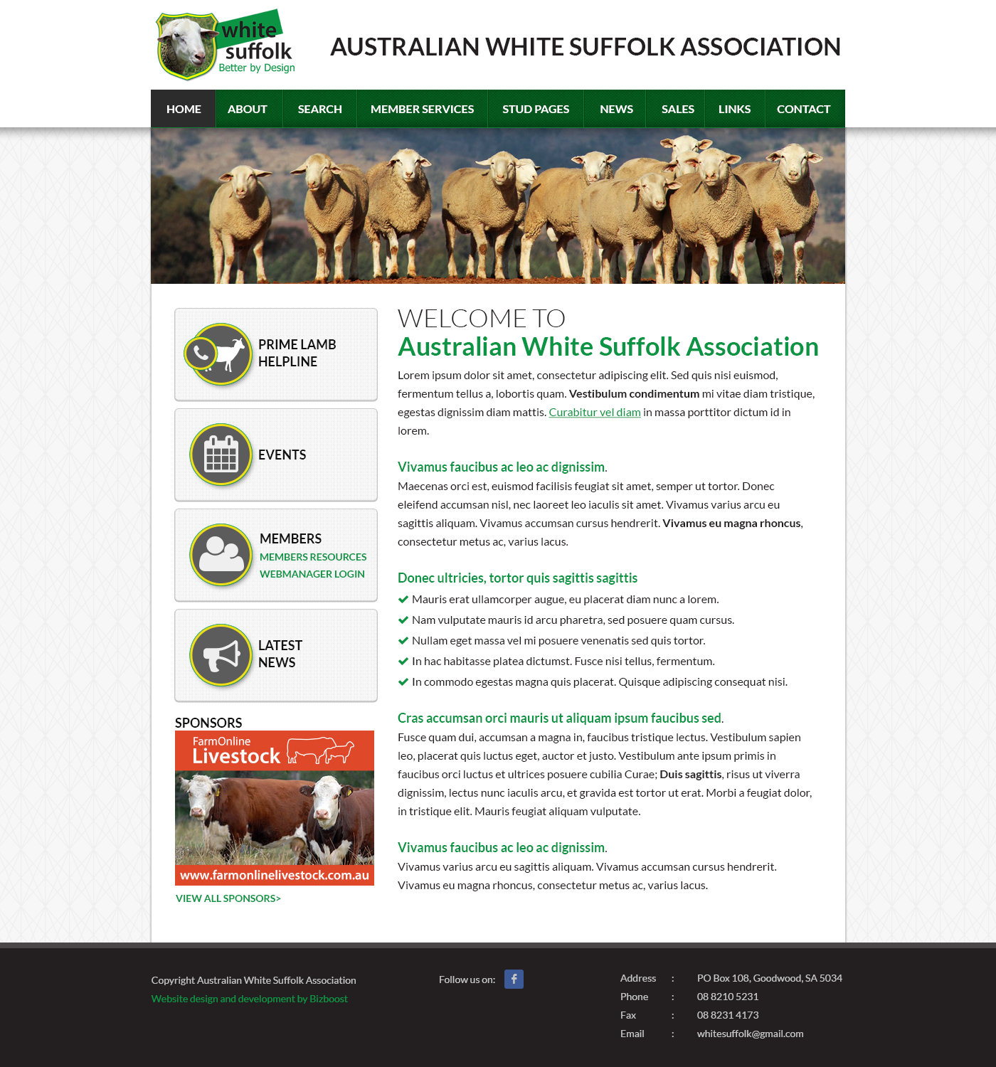 Web Design by SJ for BizBoost | Design #3617196