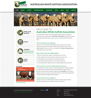 Diseño Web por SJ para BizBoost | Diseño: #3617196