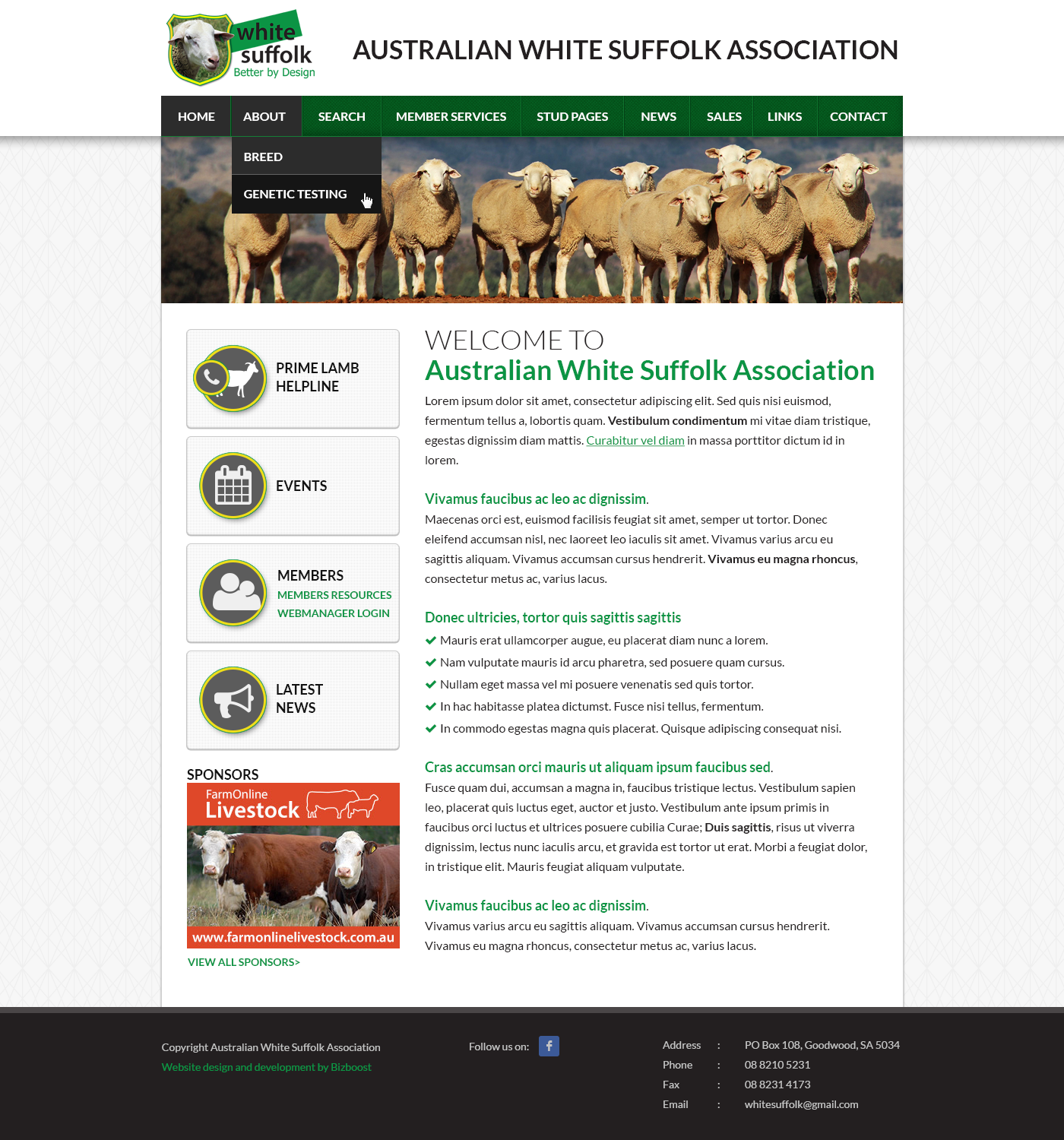 Web Design by SJ for BizBoost | Design #3618576