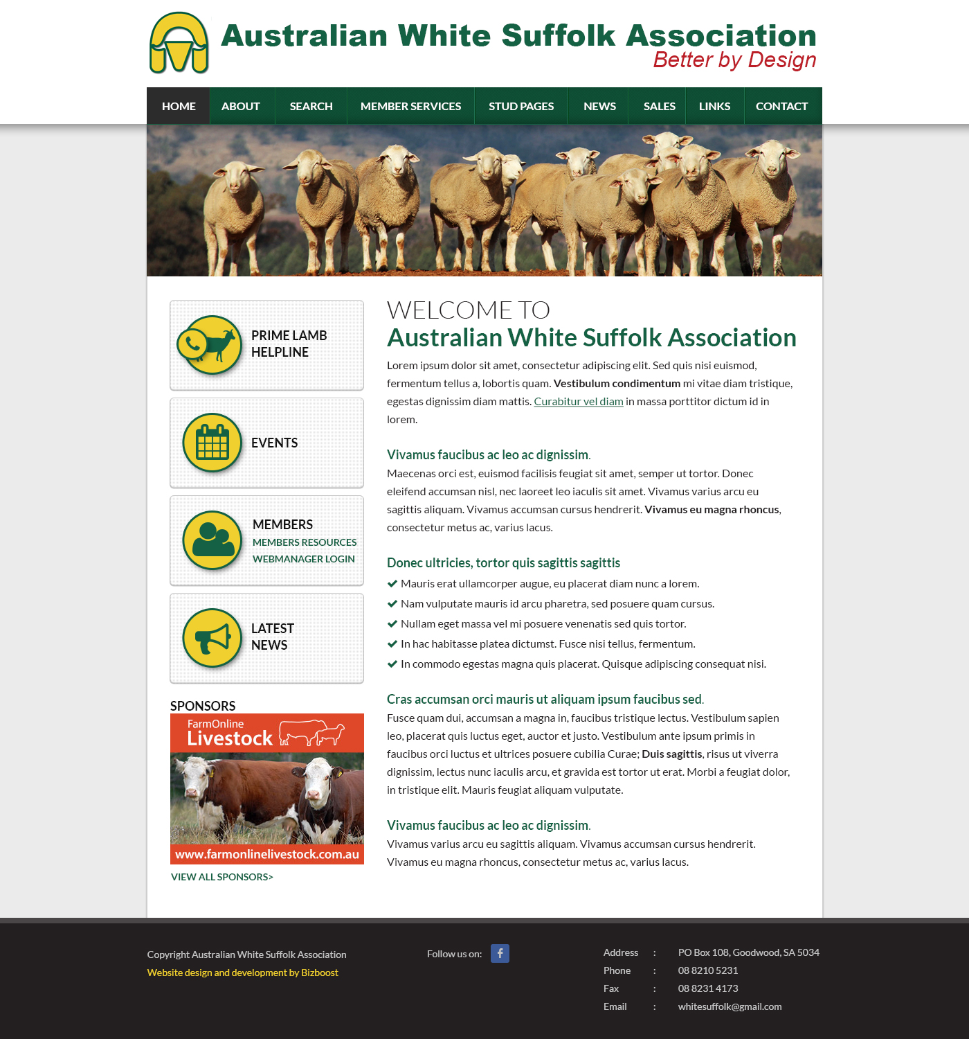 Web Design by SJ for BizBoost | Design #3664371