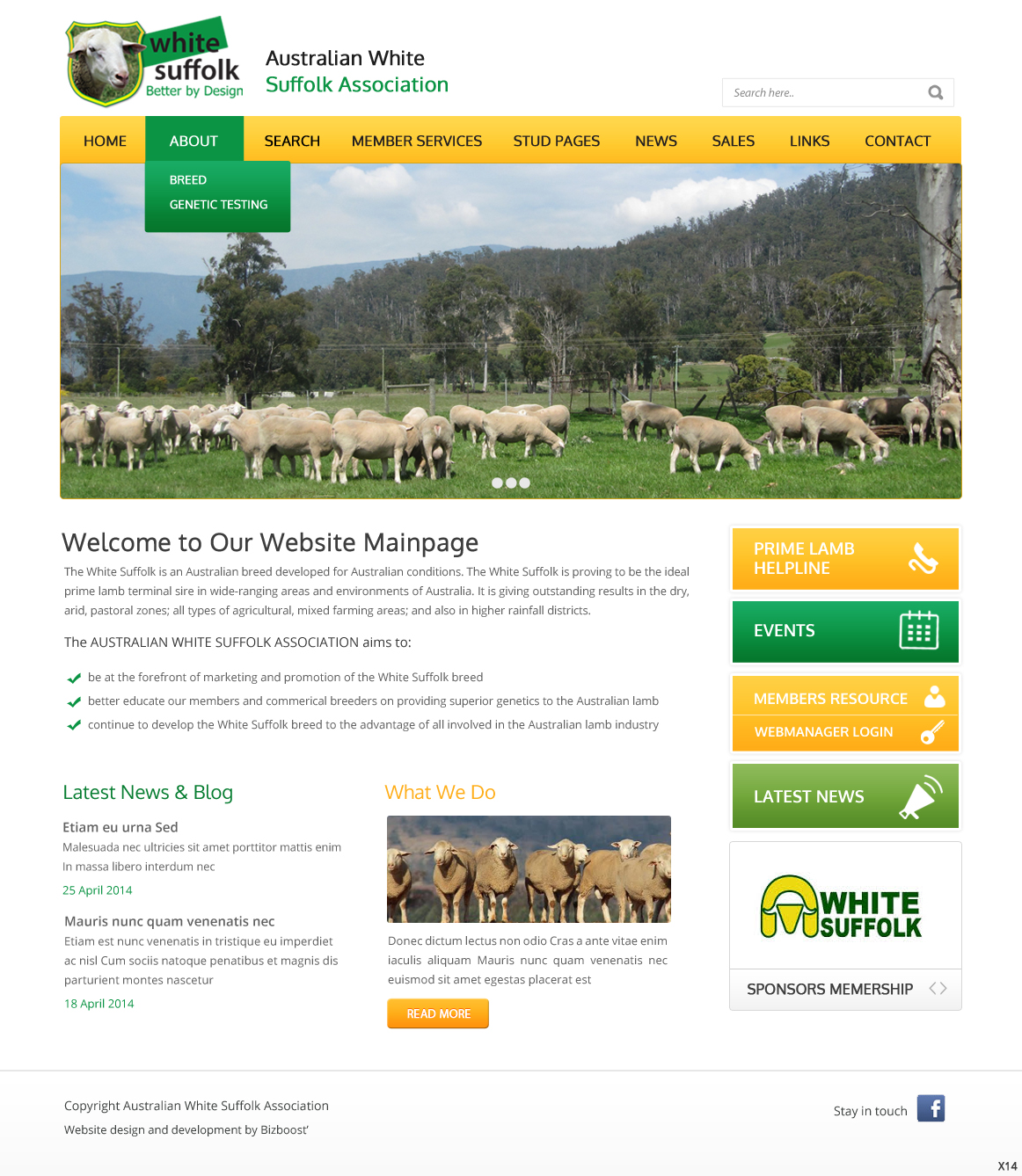 Diseño Web por pb para BizBoost | Diseño #3595308