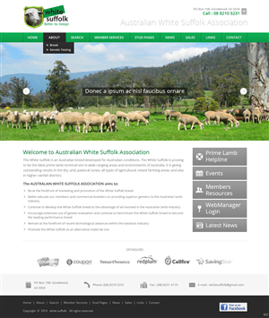 Web Design by pb for BizBoost | Design: #3595331