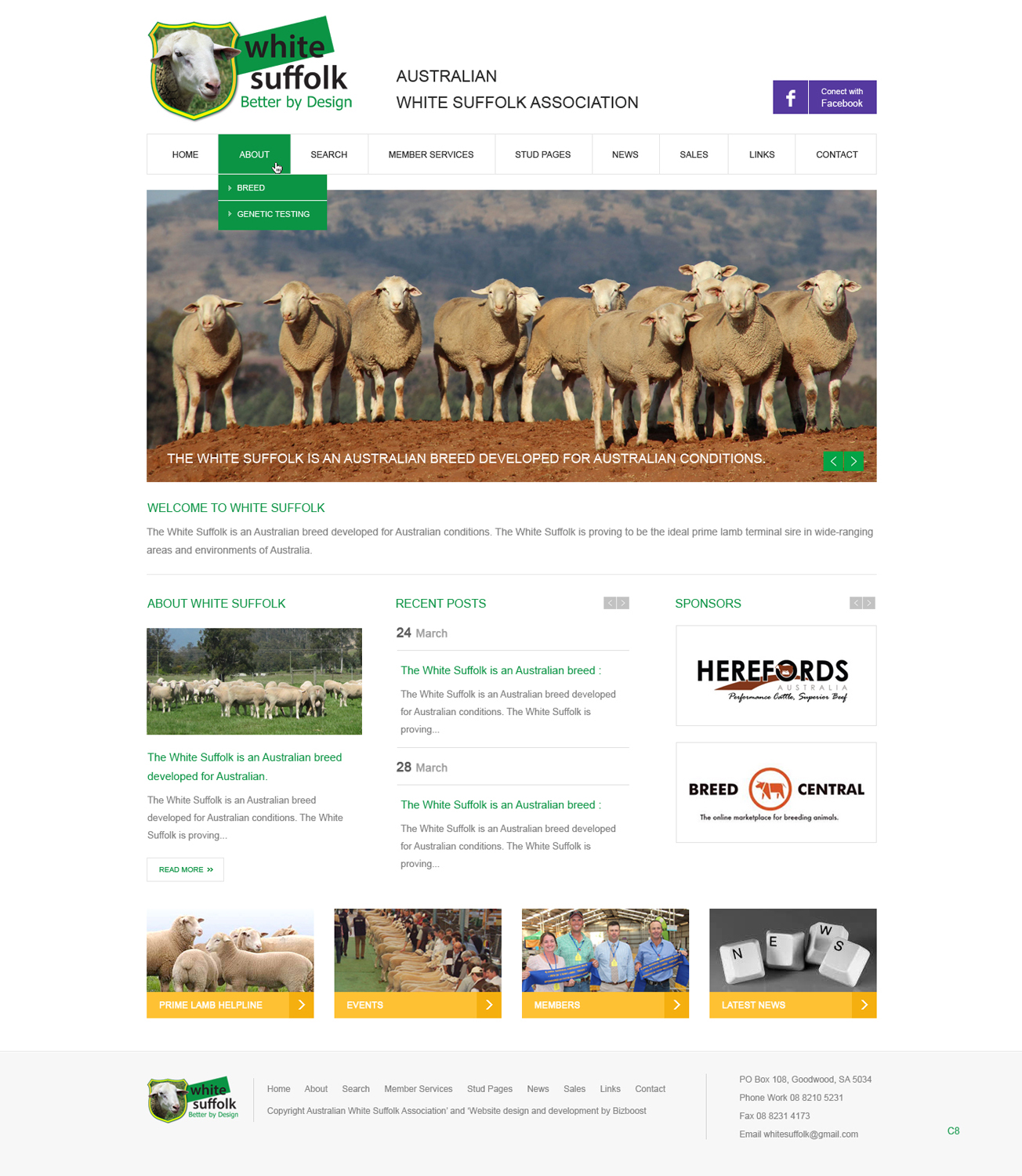 Diseño Web por pb para BizBoost | Diseño #3604969