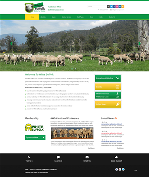 Web Design by pb for BizBoost | Design: #3604975