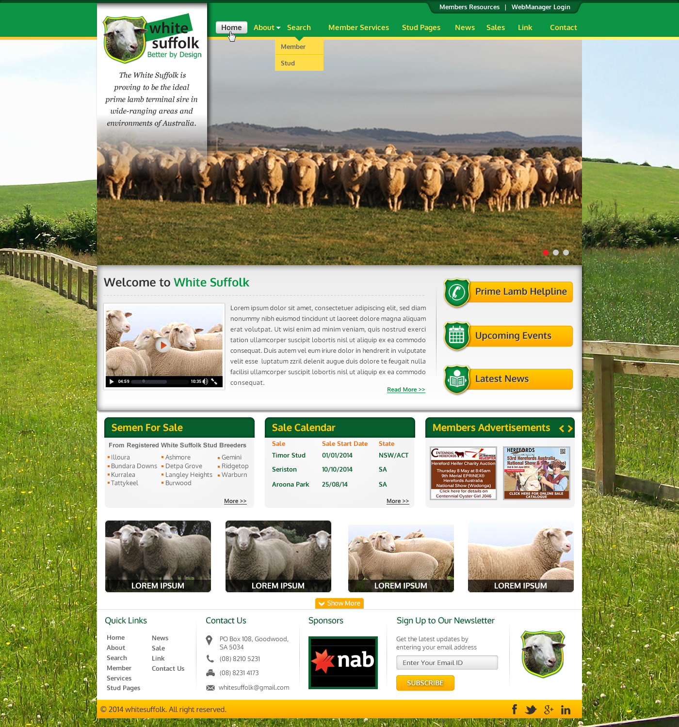 Diseño Web por Sbss para BizBoost | Diseño #3609590