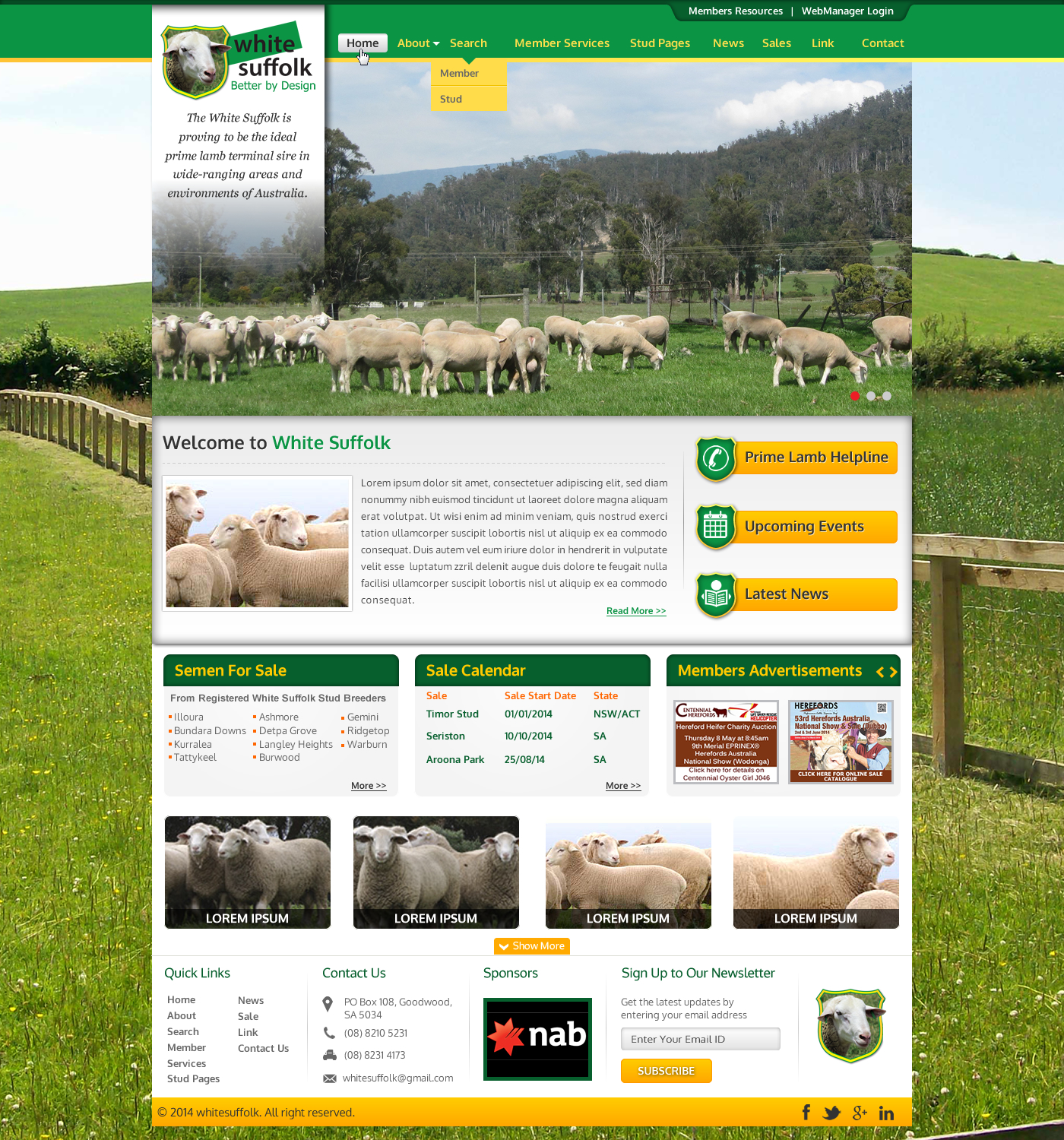 Diseño Web por Sbss para BizBoost | Diseño #3609593