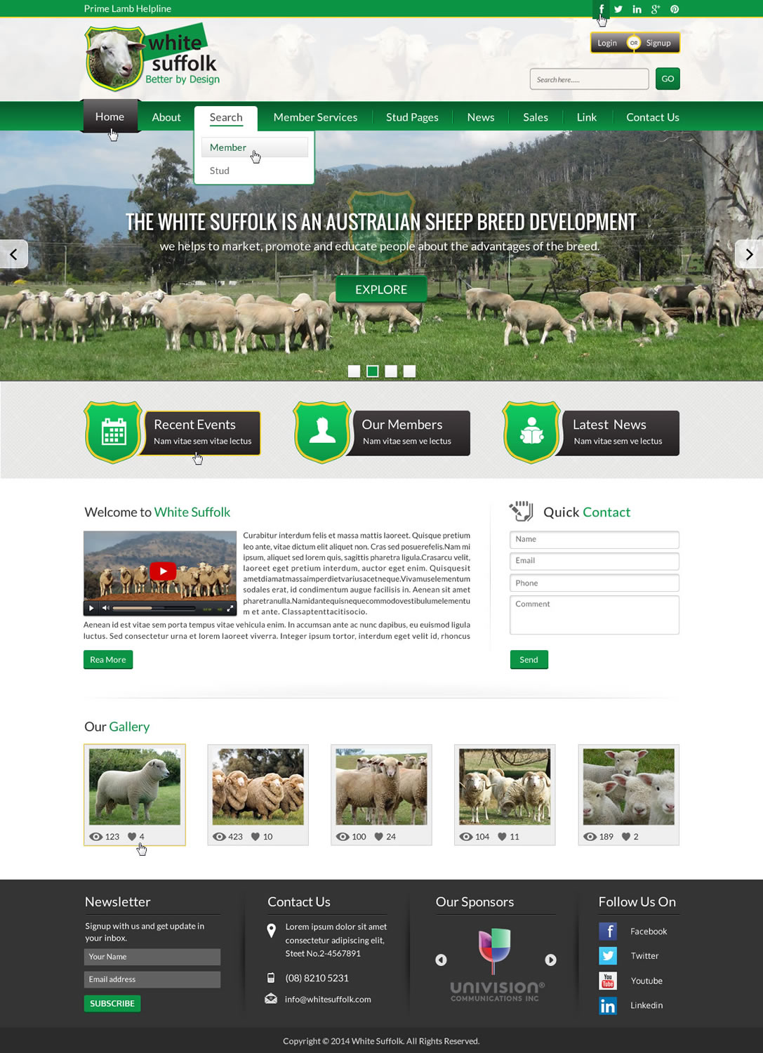 Web Design by Sbss for BizBoost | Design #3642734