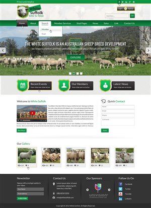 Web Design by Sbss for BizBoost | Design: #3642734