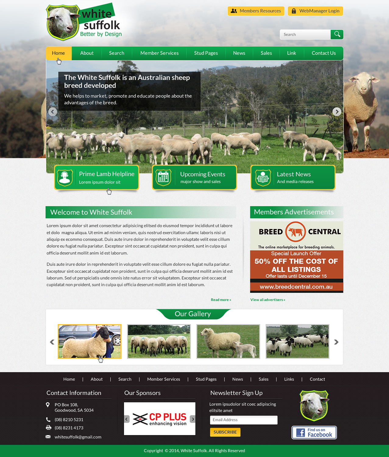 Diseño Web por Sbss para BizBoost | Diseño #3642763