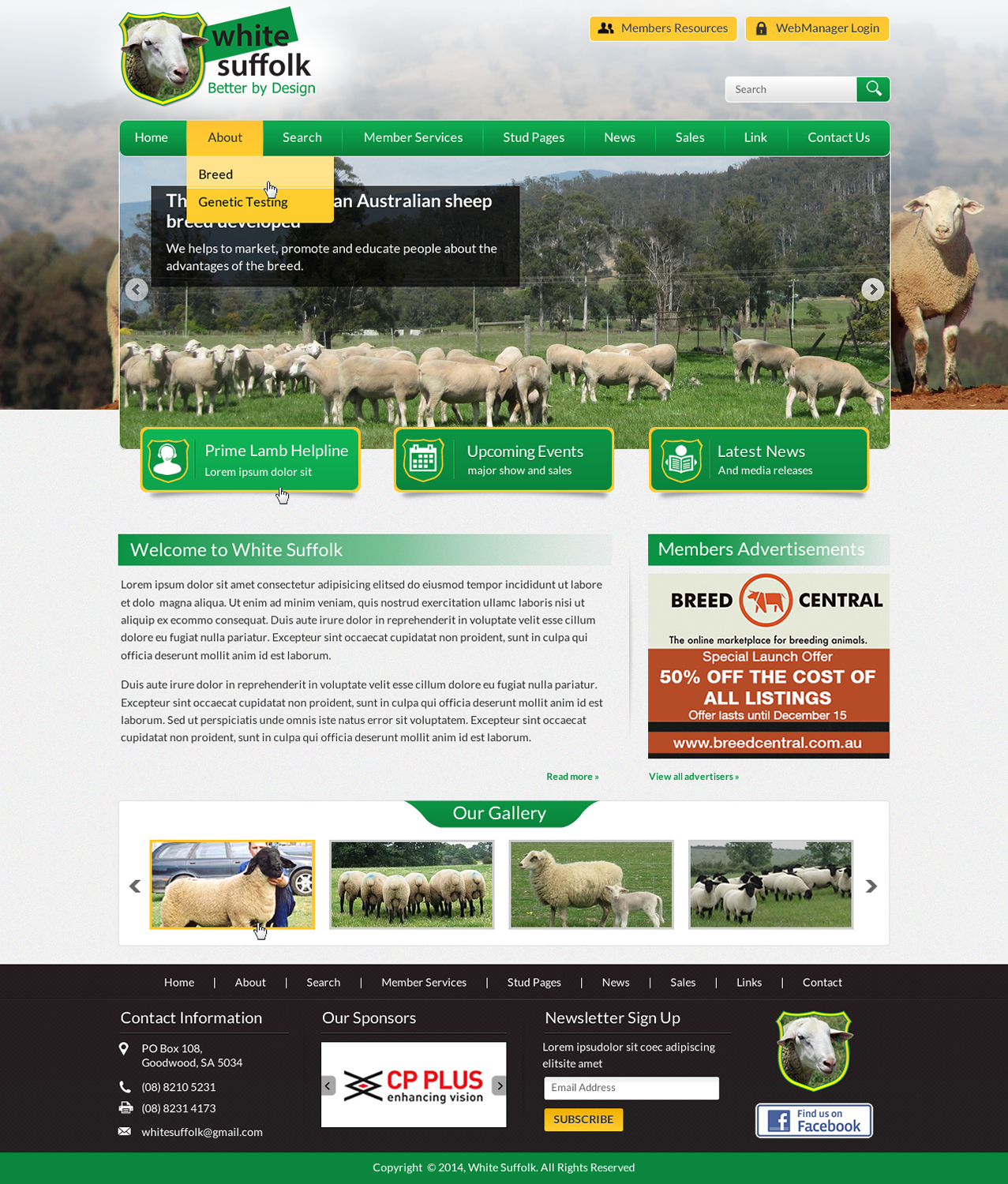 Diseño Web por Sbss para BizBoost | Diseño #3642765