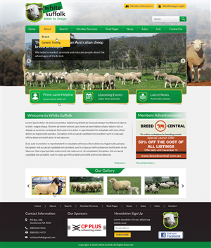 Web Design by Sbss for BizBoost | Design: #3642765