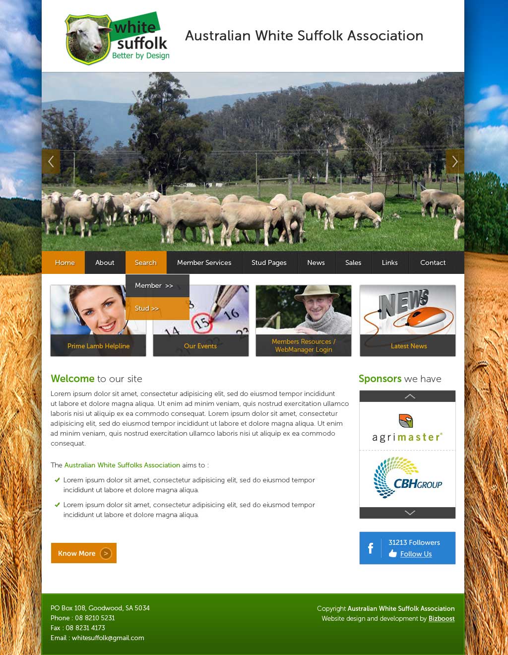 Web Design by UniqueDesignz for BizBoost | Design #3647653