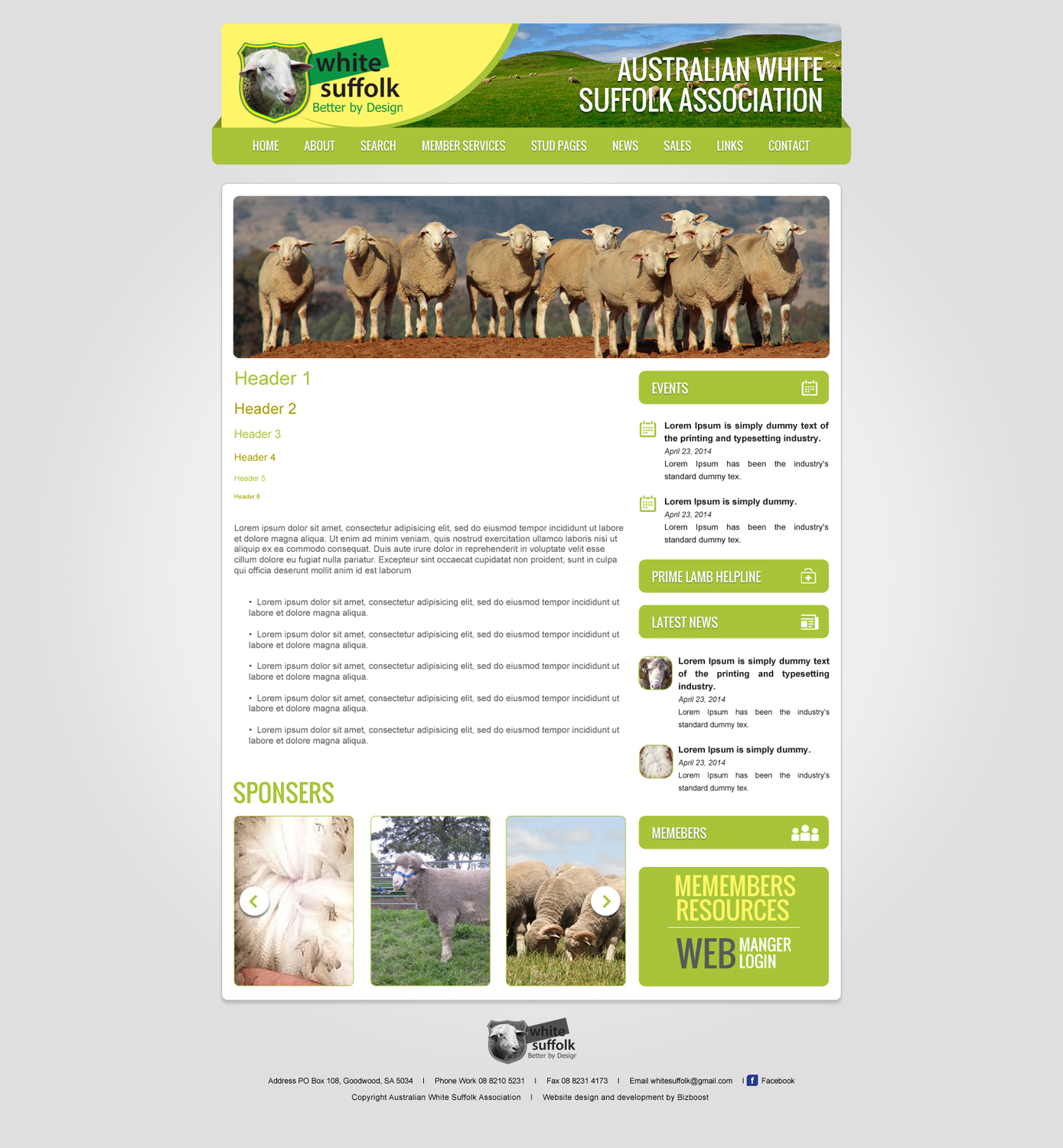 Web-Design von Impressive Sol für BizBoost | Design #3591385