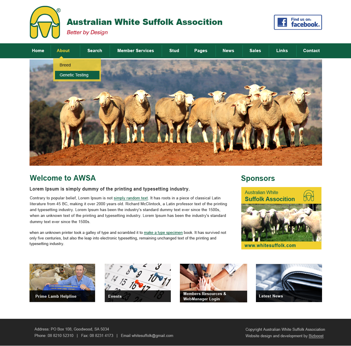 Diseño Web por Creative X Designs para BizBoost | Diseño #3677298