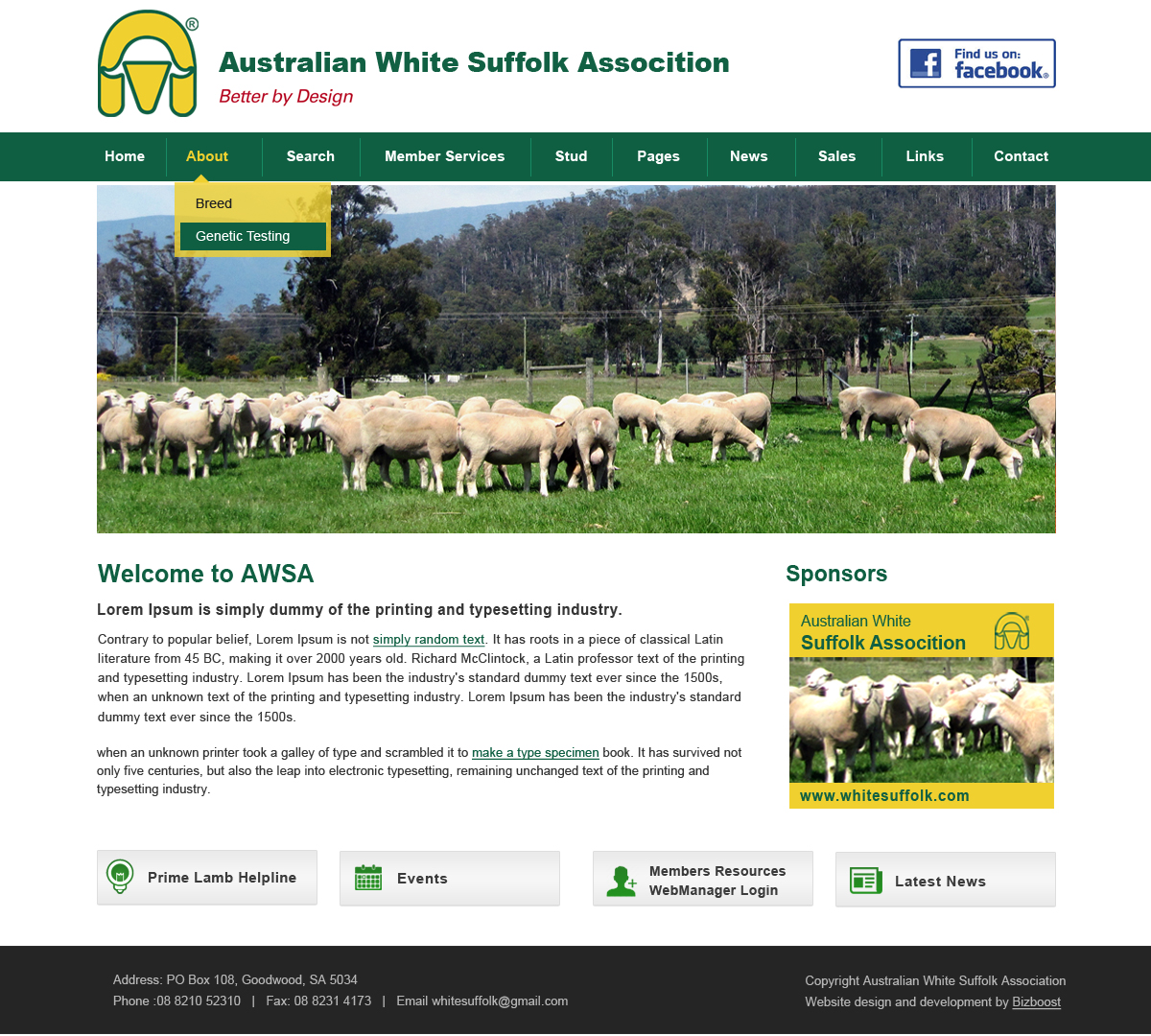 Diseño Web por Creative X Designs para BizBoost | Diseño #3677314