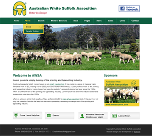 Diseño Web por Creative X Designs para BizBoost | Diseño: #3677314