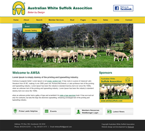 Diseño Web por Creative X Designs para BizBoost | Diseño: #3677323