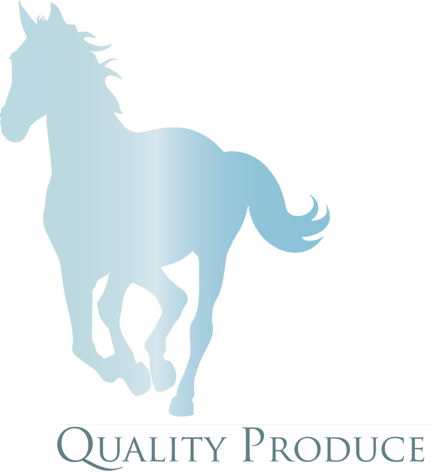 Diseño de Papelería por EdenLlovio_2 para Merrylegs Produce & Pet Supplies | Diseño #3604511