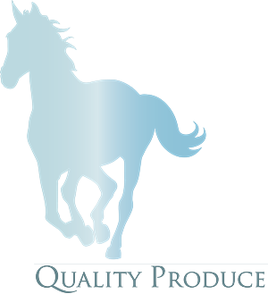 Diseño de Papelería por EdenLlovio_2 para Merrylegs Produce & Pet Supplies | Diseño: #3604511