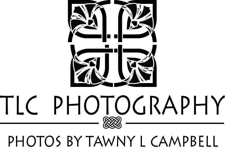 Logo Design by ioana for TLC Photography | Design #917423