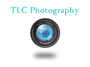 Logo Design by Skroll