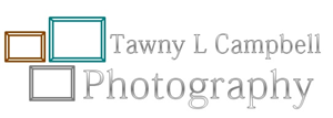 Logo Design by elhem