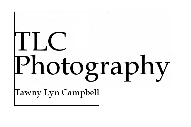 Diseño de Logo por A-dane para TLC Photography | Diseño #902513