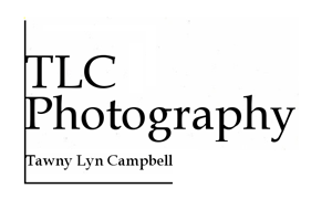 Logo Design by A-dane