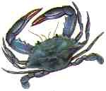 Logo Design by daniel for this project | Design #97417