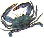 Logo Design by daniel for this project | Design: #97417