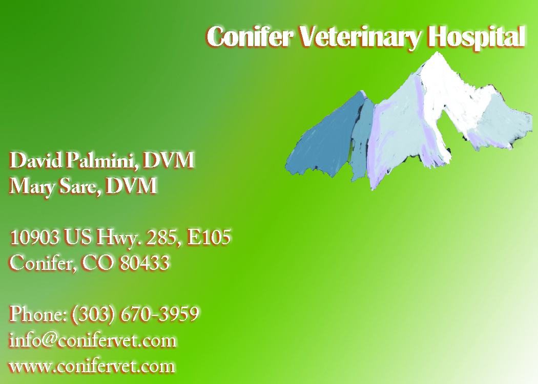 Business Card Design by DesignerIJ for Conifer Veterinary Hospital | Design #1189917