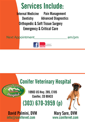 Business Card Design by Katie Lowery for Conifer Veterinary Hospital | Design: #1186171