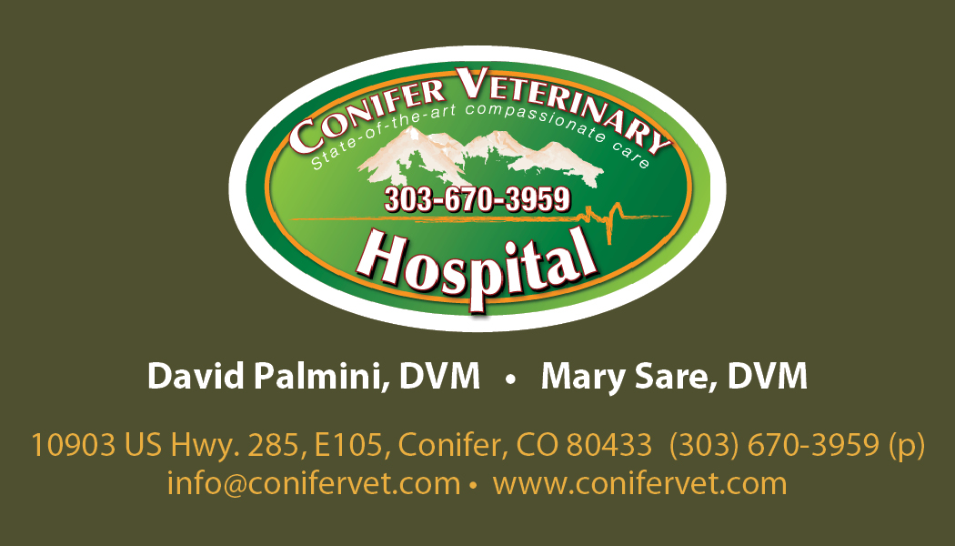 Business Card Design by Peggy Lee for Conifer Veterinary Hospital | Design #1194942