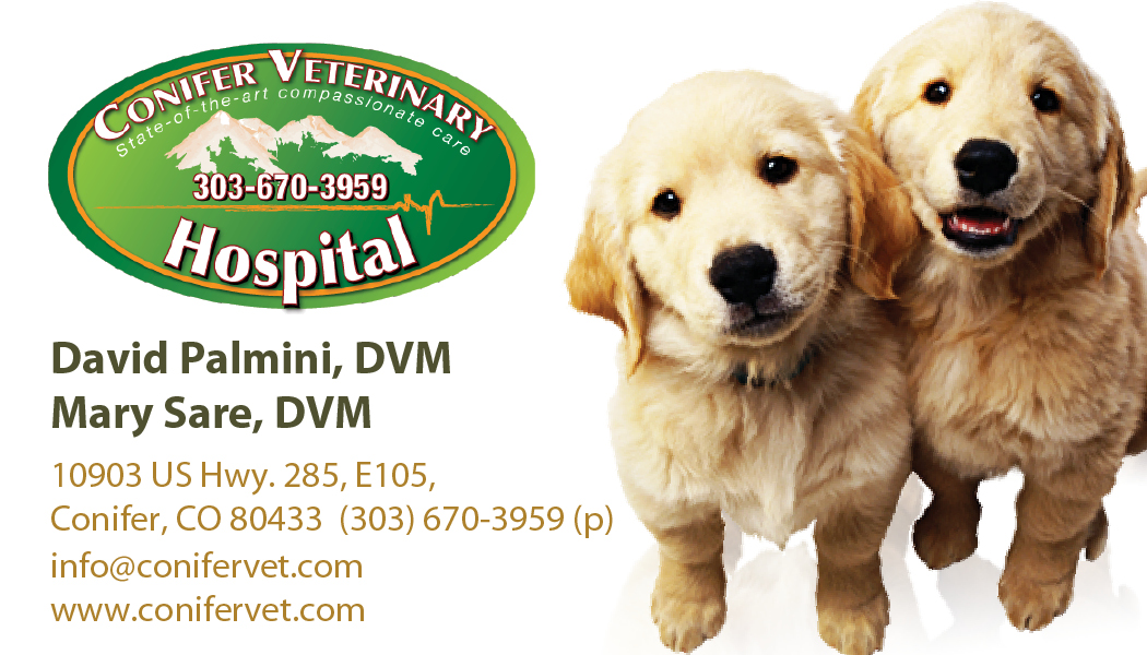 Business Card Design by Peggy Lee for Conifer Veterinary Hospital | Design #1195002