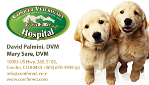 Business Card Design by Peggy Lee for Conifer Veterinary Hospital | Design: #1195002
