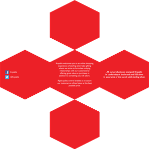 Flyer Design by barinix for this project | Design: #3678130