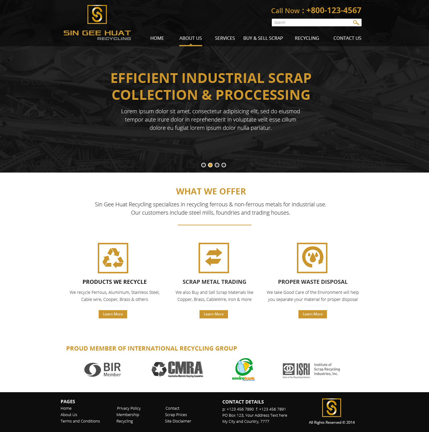 Web Design by Nelsur for Sin Gee Huat Recycling | Design #3611984