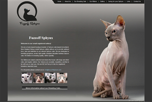 Graphic Design by webxvision