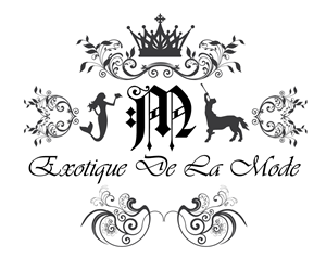 Logo Design by Bifrost Branding